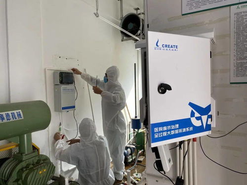 春節堅守，步履不停 桂城企業20名員工的崗位與數據處理服務